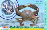 Crustaceans