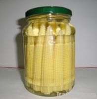 Canned Vegetables