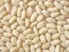 Sell blanched peanut kernels(long type)