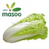 Cheap High Quality Fresh Chinese Cabbage from Hebei (China) (Wholesale)