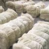 Cheap Sales Of Quality Sisal Fibre Sisal Hemp Natural UG Grade Sisal Fiber for sale