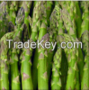 Fresh Quality Asparagus