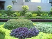 Garden Buildings