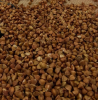 High Quality Raw Buckwheat For Sale 