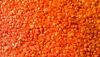 RED LENTILS