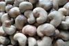 Raw Cashew Nuts