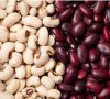 Quality and Sell White and red kedney bean