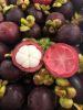 Mangosteen