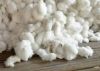 Raw Cotton