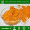 Natural Beta Carotene Powder