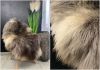 Melerade Sheepskin Rug