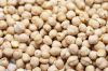 Chickpeas, Chick Peas, Fresh Dried Chickpeas