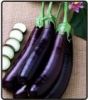 Eggplant