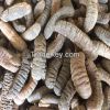 Dried Sea Cucumber