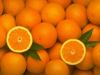 Sell citrus fruits