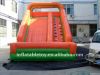 PVC  inflatable jumping slide with pool /inflatble slide for fun