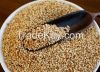 Natural White Sesame Seeds