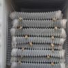 Galvanized wire