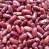 Red Speckled Kidney Beans