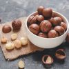 High-protein nuts for energy and nutrition High-protein nuts for energy and nutrition