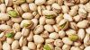 Pistachio Nuts with and without Shell Pistachios Roasted and Salted Bulk Cheap