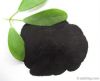 organic fertilizer