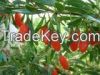 Organic Goji Berry