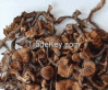 Dried Mushroom