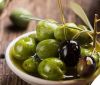 OLIVES and OLIVE OIL OLIVES and OLIVE OIL