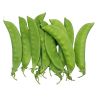 High quality fresh snow pea accept custom planting