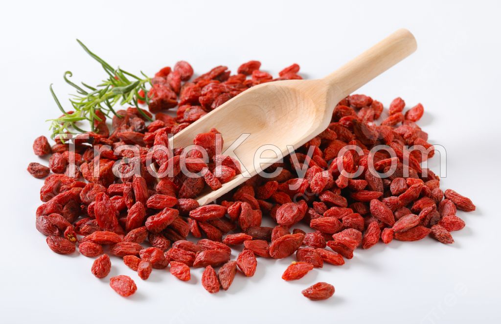 RED SEED ENERGY / GOJI BOOST / WHOLE PLANT BENEFIT / CLEAN FUNCTIONAL FOOD