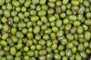 mung beans