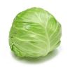 fresh cabbage for sale