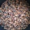 KOLA NUT (DRIED)