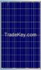 supply 250/255w solar panels
