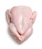 EXPORT GRADE HALAL FROZEN WHOLE CHICKEN, CHICKEN FEET, CHICKEN PAW AND ALL OTHER PARTS