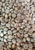 Arabica Coffee Green Beans