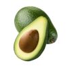 FRESH AVOCADO with HIGH QUALITY and BEST PRICE