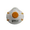 8200V Particulate Respirator