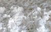 raw cotton importers,raw cotton buyers,raw cotton importer,buy raw cotton,raw cotton buyer,import raw cotton