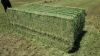 Alfalfa Hay For Sale