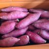 Fresh Sweet Potatoes