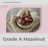 Hazelnuts