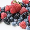 Fresh Delicious Organic Berries