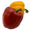 Fresh Capsicum, Bell Pepper, Fresh Chili Pepper, Red and Green Chilli Pepper