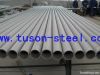 Seamless Stainless Steel Pipe/Tube