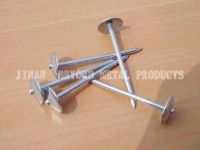 Artificial Fingernails