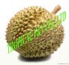 Durian fruit