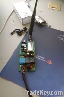 Wall Switches