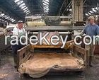 Dry and Wet Salted Donkey Hides Low Prices.